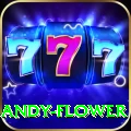 andy flower - Casino Premium