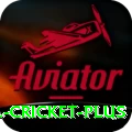 bbl cricket Extreme PK v5.6.1