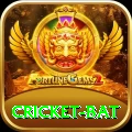 cricket bat - VIP Pro