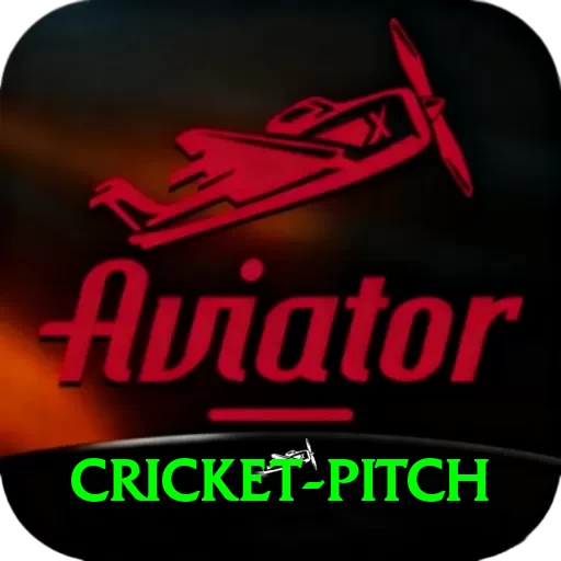 cricket pitch - Mega Earning App - 2