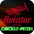 cricket pitch - Mega Earning App