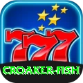 croaker fish Super New