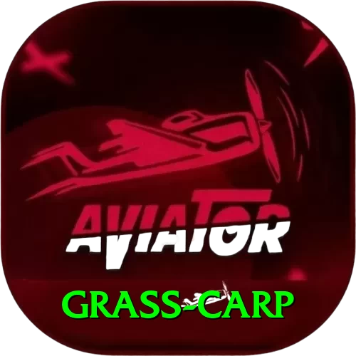 grass carp APK Super v2.6.9 - 2