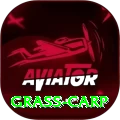 grass carp APK Super v2.6.9