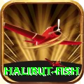 halibut fish PK Master