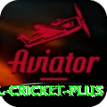 international cricket Casino Champion v4.4.5