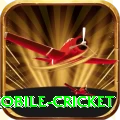 mobile cricket - King Edition v1.2.2