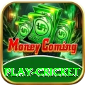 play cricket Earn Supreme v3.2.3