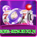 rudi koertzen - Mega Earning App