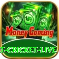 smart cricket live - Live Royal
