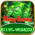 steve waugh - Turbo Edition v3.3.6