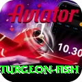 sturgeon fish - Real Money Master