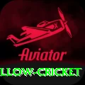 willow cricket - Premium v2.2.7